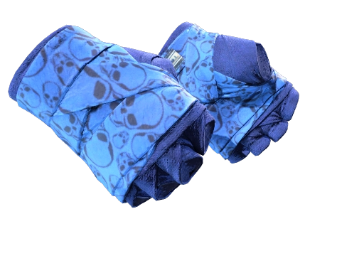 Hand Wraps