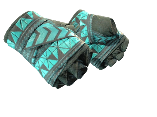Hand Wraps