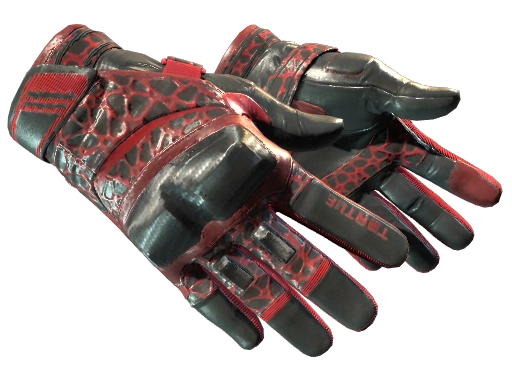 Moto Gloves