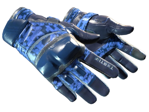 Moto Gloves