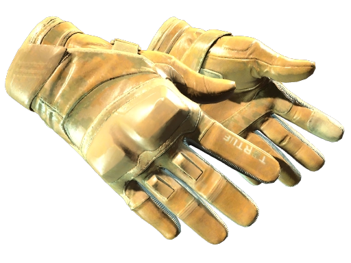 Moto Gloves