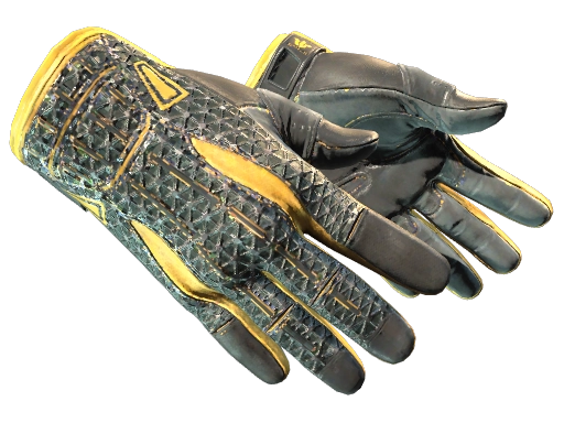 Sport Gloves