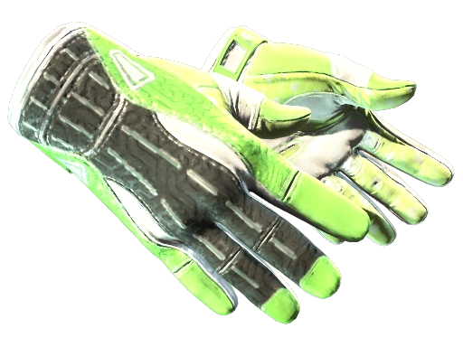 Sport Gloves