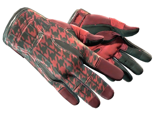 Sport Gloves