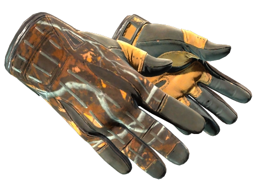 Sport Gloves