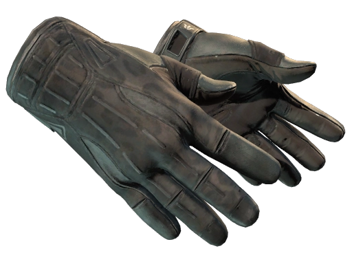 Sport Gloves