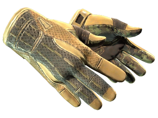 Sport Gloves