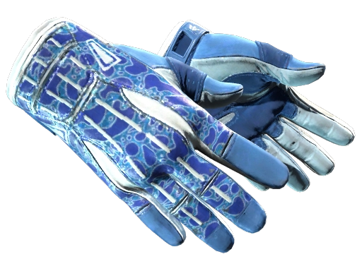 Sport Gloves
