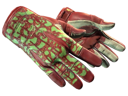 Sport Gloves