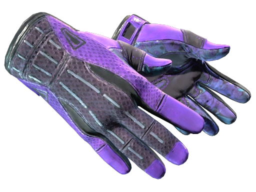 Sport Gloves