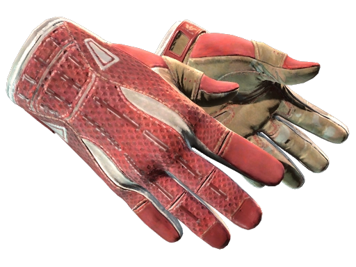 Sport Gloves