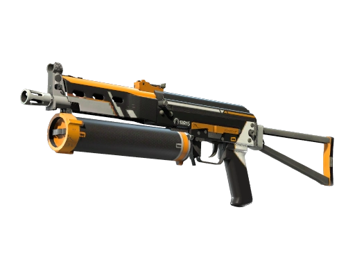 PP-Bizon