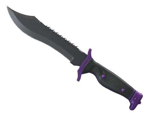 Bowie Knife