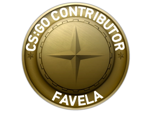 Favela Map Coin