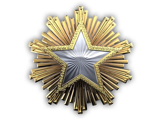 2016 Service Medal