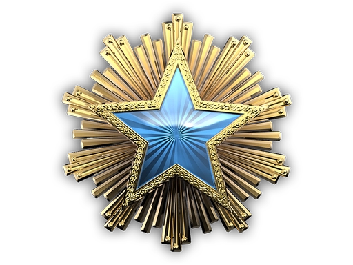 2016 Service Medal
