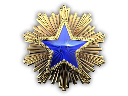 2016 Service Medal