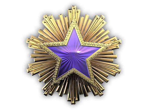 2016 Service Medal