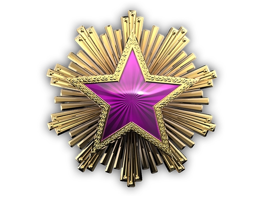 2016 Service Medal