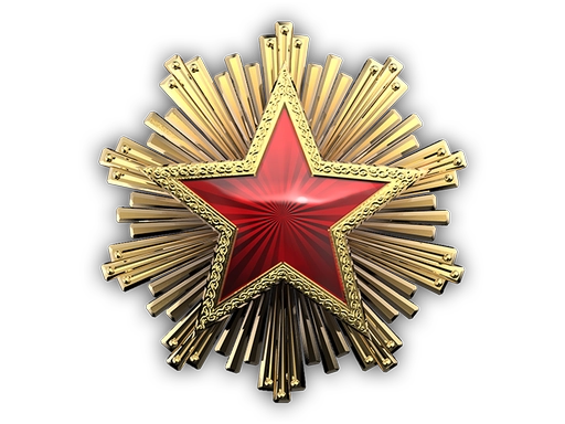2016 Service Medal