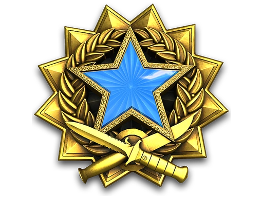 2017 Service Medal