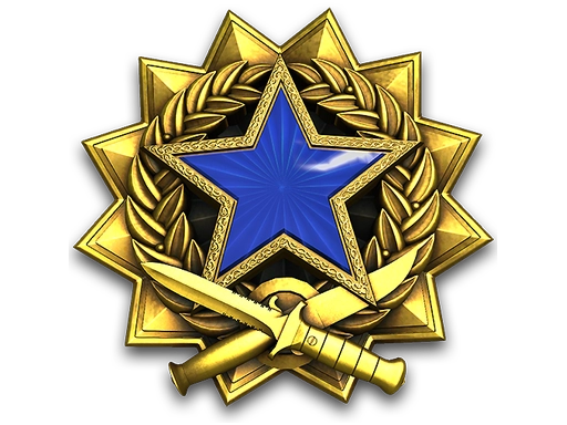 2017 Service Medal
