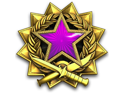 2017 Service Medal