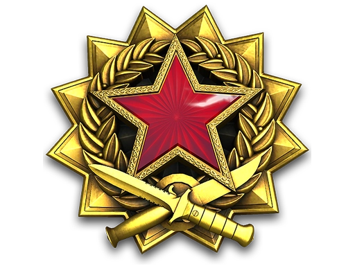 2017 Service Medal