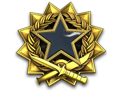 2017 Service Medal