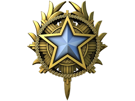 2020 Service Medal