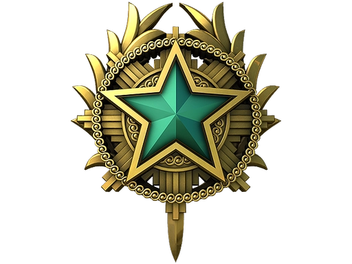 2020 Service Medal