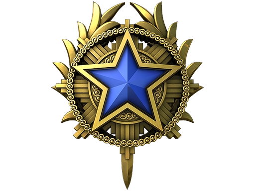 2020 Service Medal