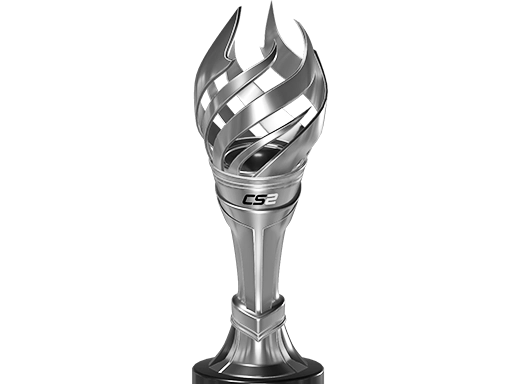 Finalist at PGL Copenhagen 2024