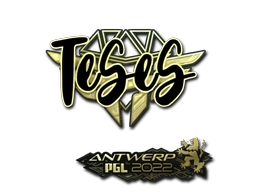 TeSeS (Gold) | Antwerp 2022