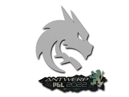Team Spirit | Antwerp 2022