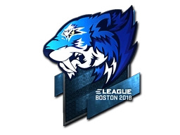 Flash Gaming (Foil) | Boston 2018