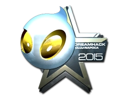 Team Dignitas (Foil) | Cluj-Napoca 2015
