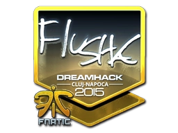 flusha (Foil) | Cluj-Napoca 2015
