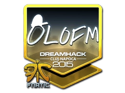 olofmeister (Foil) | Cluj-Napoca 2015
