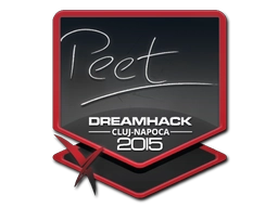 peet | Cluj-Napoca 2015