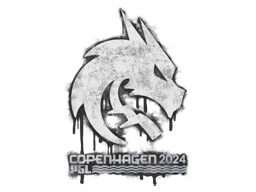 Team Spirit | Copenhagen 2024