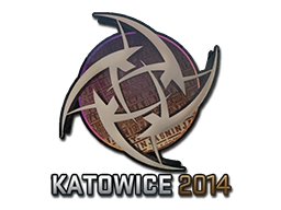 Ninjas in Pyjamas (Holo) | Katowice 2014