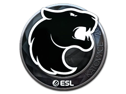 FURIA (Foil) | Katowice 2019
