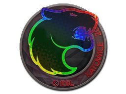 FURIA (Holo) | Katowice 2019