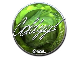 COLDYY1 (Foil) | Katowice 2019