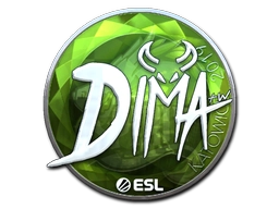 Dima (Foil) | Katowice 2019