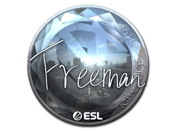 Freeman (Foil) | Katowice 2019