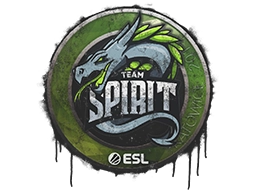 Team Spirit | Katowice 2019