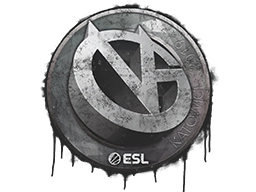 ViCi Gaming | Katowice 2019