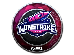 Winstrike Team (Foil) | Katowice 2019